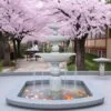 gia đài phun nước sân vườn trang trí sân vườn đặt tại phòng khách