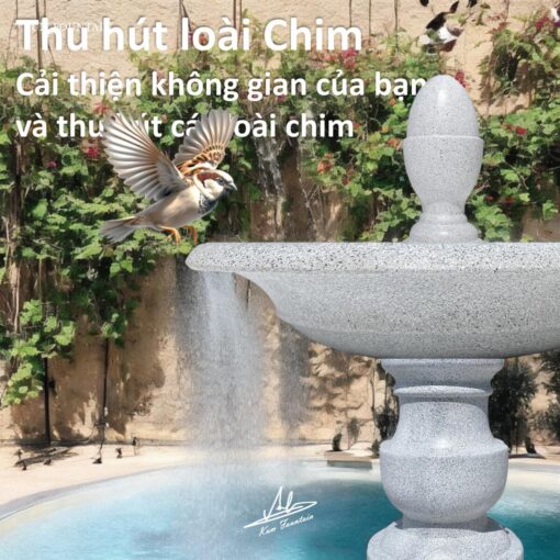thu hút các loài chim đài phun nước cổ điển đặt trên sân thượng