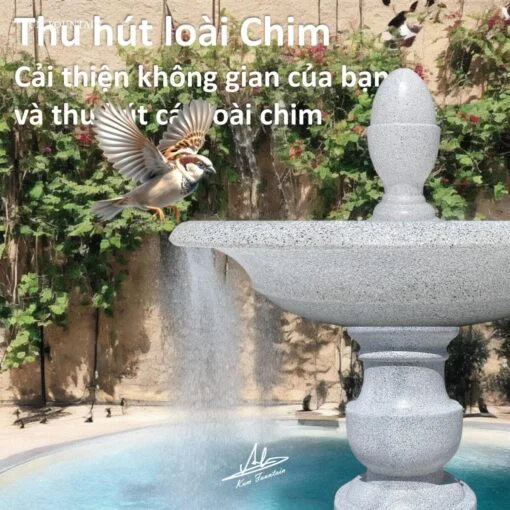 thu hút các loài chim đài phun nước cổ điển đặt trên sân thượng