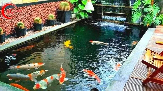 thác nước vệ sinh lọc bơm trọn gói giá rẻ