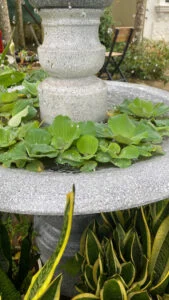 đài phun nước khu đô thị bàn giao nhanh 7 ngày