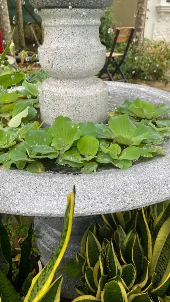 đài phun nước khu đô thị bàn giao nhanh 7 ngày