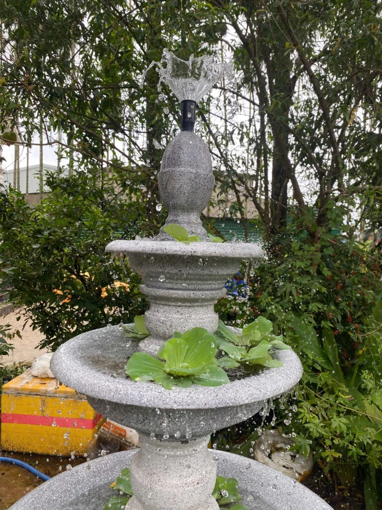 đài phun nước có lọc cơ học và lọc sinh học