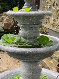 thác nước xử lý nước xanh rêu nhanh tại nhà