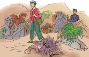 đài phun nước năng lượng mặt trời chạy cả ngày mây