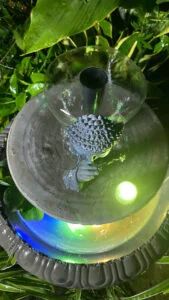 thác nước bể tràn kèm hộp kỹ thuật gọn