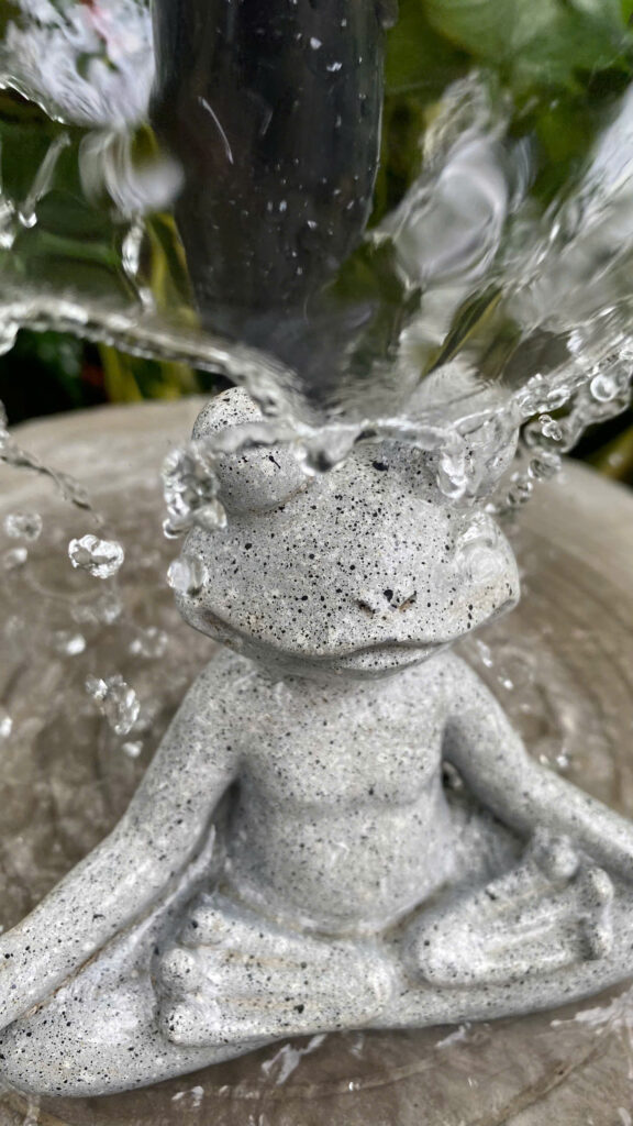 thác nước có gói vệ sinh theo quý không?