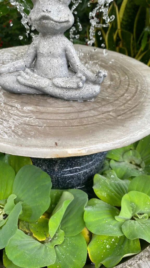 đài phun nước bảo hành bơm bao lâu