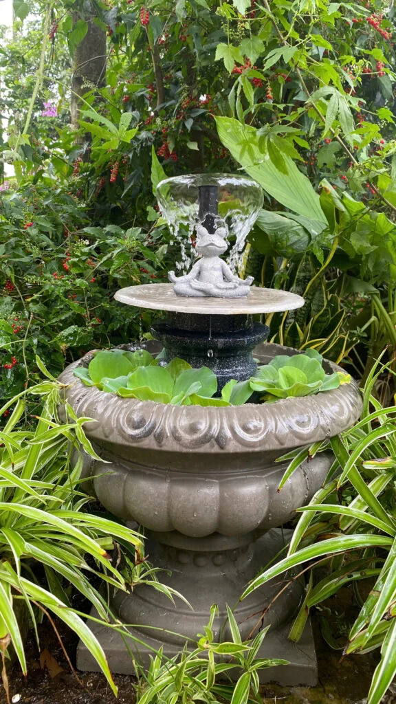 thác nước có cần giấy phép xây dựng không