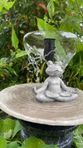 đài phun nước phối cây thủy sinh dễ chăm