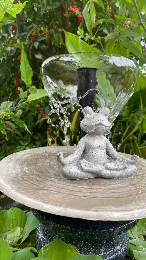 đài phun nước phối cây thủy sinh dễ chăm