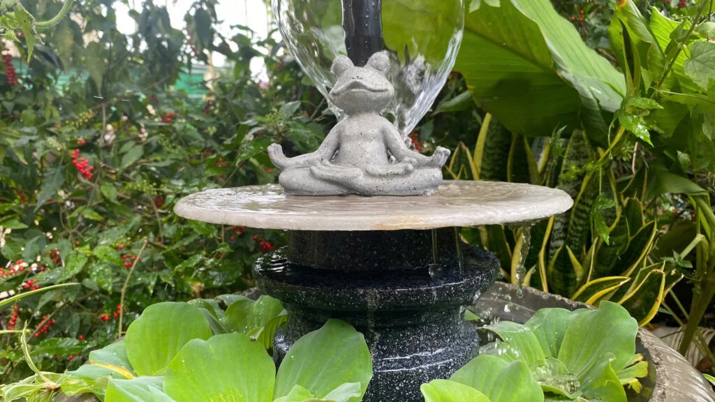 đài phun nước mô hình zen garden giảm stress