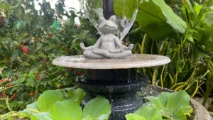 đài phun nước mô hình zen garden giảm stress