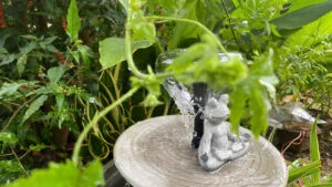 đài phun nước lọc vi sinh cho hồ koi