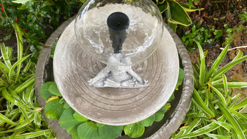 đài phun nước hướng dẫn vệ sinh bộ lọc định kỳ