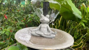 đài phun nước cần bể ngầm hay bể nổi